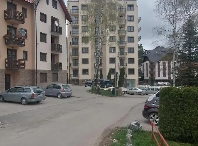 Anja Златибор